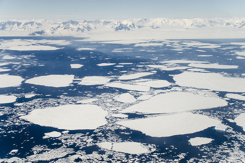 Sea ice Sea ice