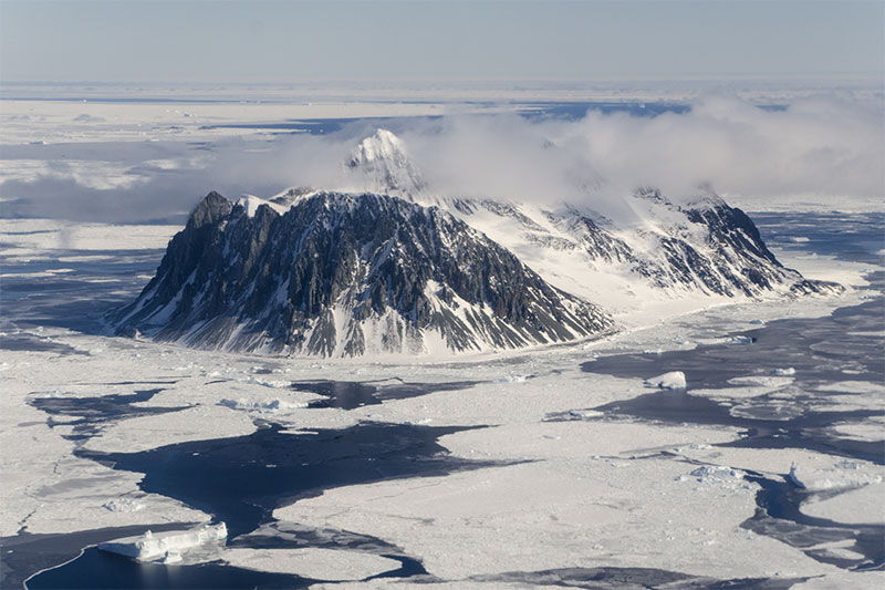 Sea ice Sea ice