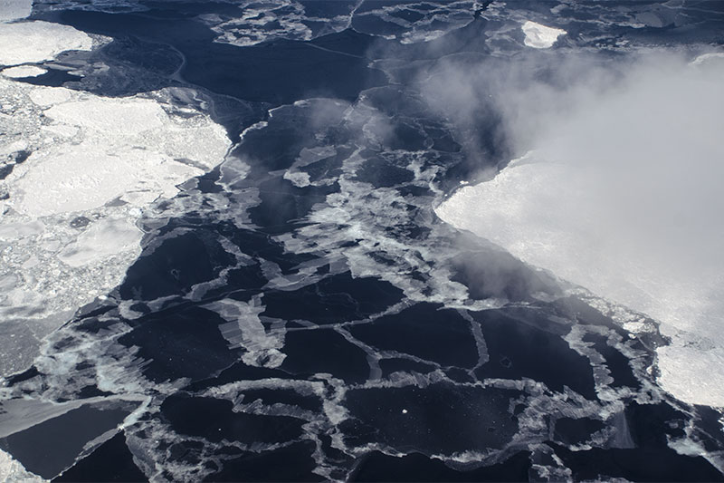 Sea ice Sea ice