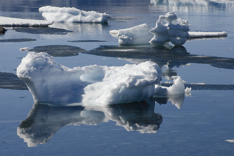 Sea ice Sea ice