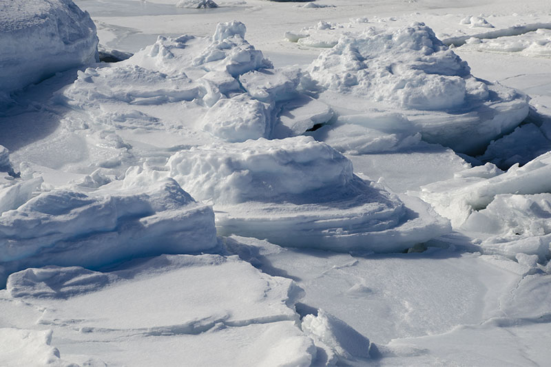 Sea ice Sea ice