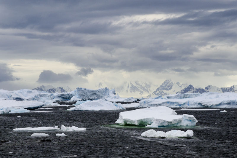 SwissEduc - Glaciers online - Antarctic Peninsula (Southwest)