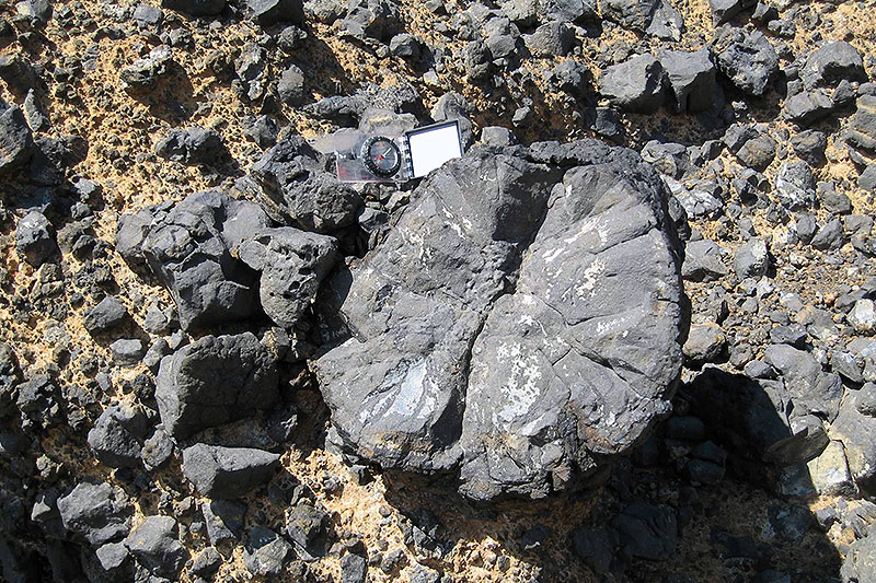 Cenozoic Volcanism Cenozoic Volcanism