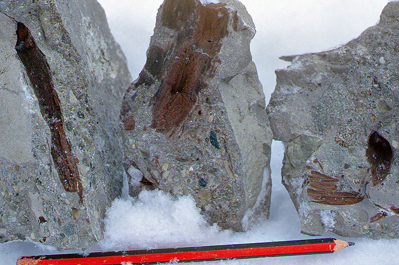 Into the freezer: Cenozoic glaciation Into the freezer: Cenozoic glaciation
