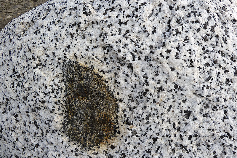 Representative lithologies of morainic debris Representative lithologies of morainic debris