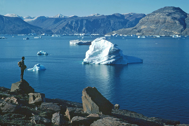 Introducing Arctic environments Introducing Arctic environments