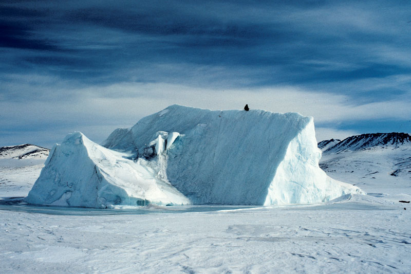 Meereis und Eisberge