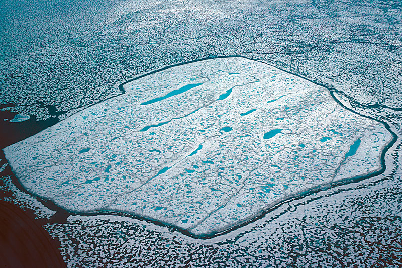 Sea Ice and Icebergs