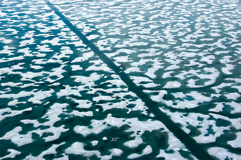 Sea Ice and Icebergs