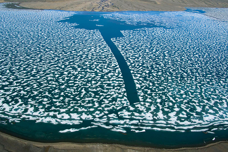 Sea Ice and Icebergs