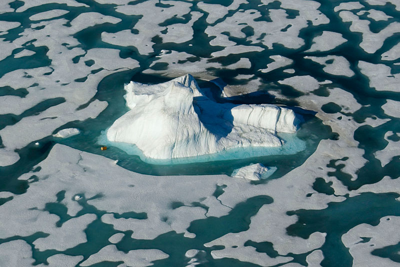 Sea Ice and Icebergs