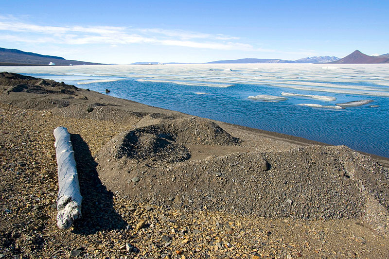 Sea Ice and Icebergs