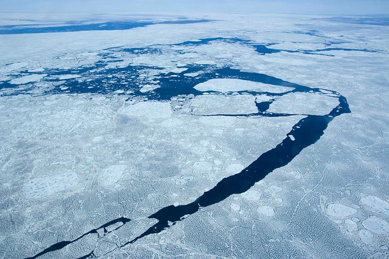 Sea Ice and Icebergs