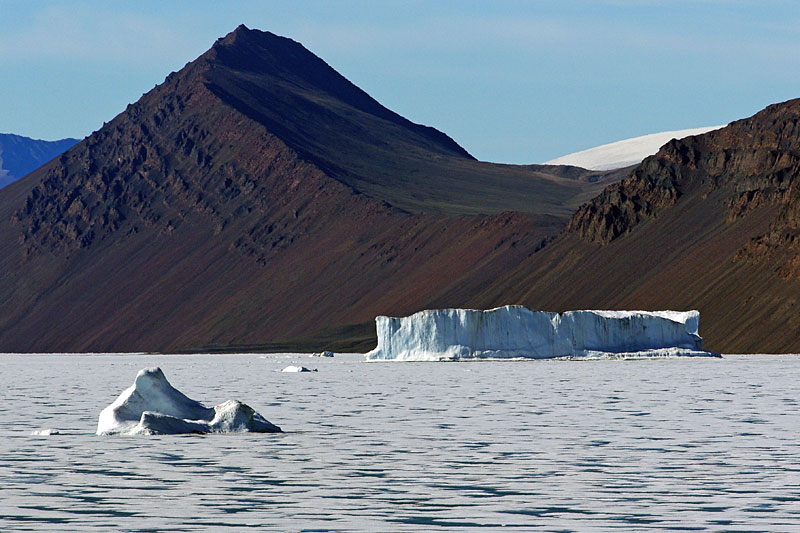 Sea Ice and Icebergs