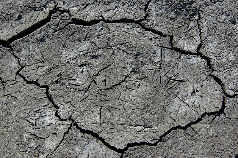 Crusoe Glacier: shapes and colours