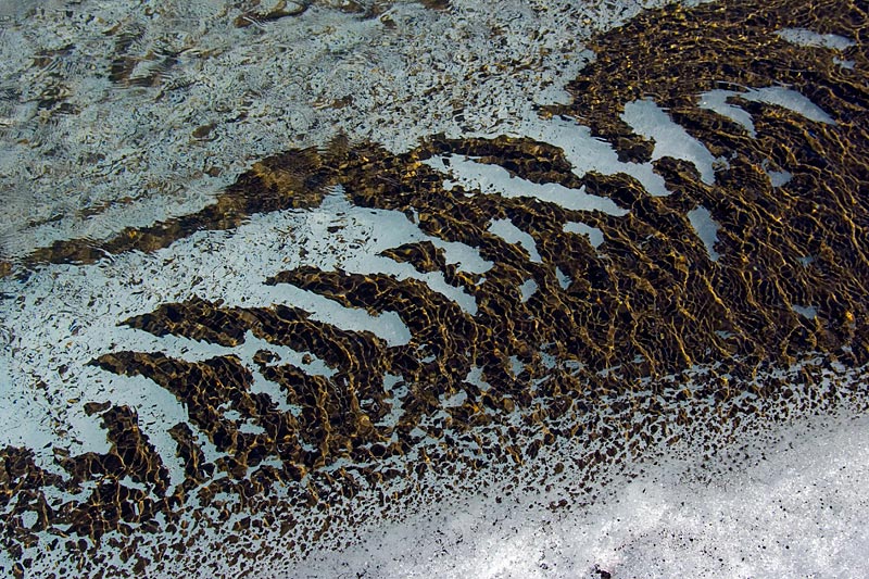 Crusoe Glacier: shapes and colours