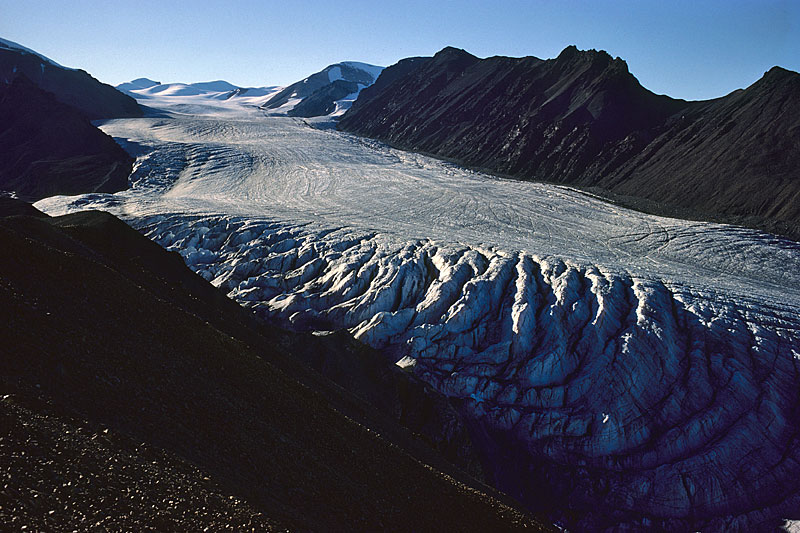 White Glacier