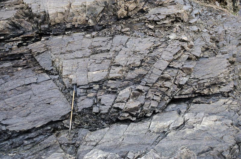 Fountain Glacier proglacial areas