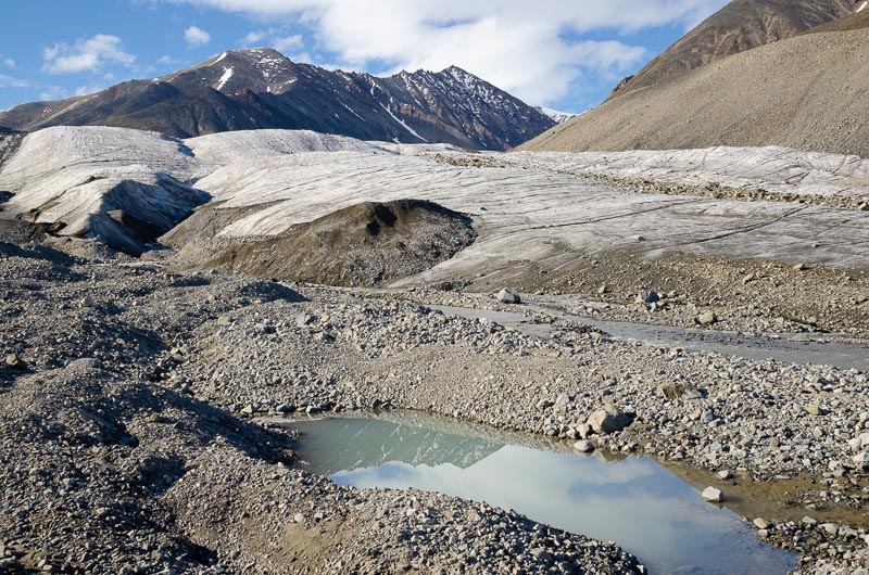 Stagnation Glacier proglacial area Stagnation Glacier proglacial area