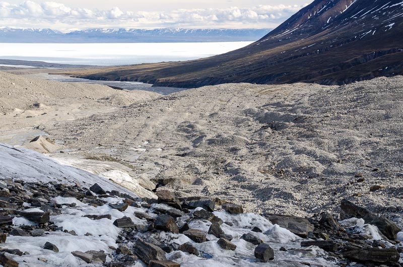 Stagnation Glacier proglacial area Stagnation Glacier proglacial area