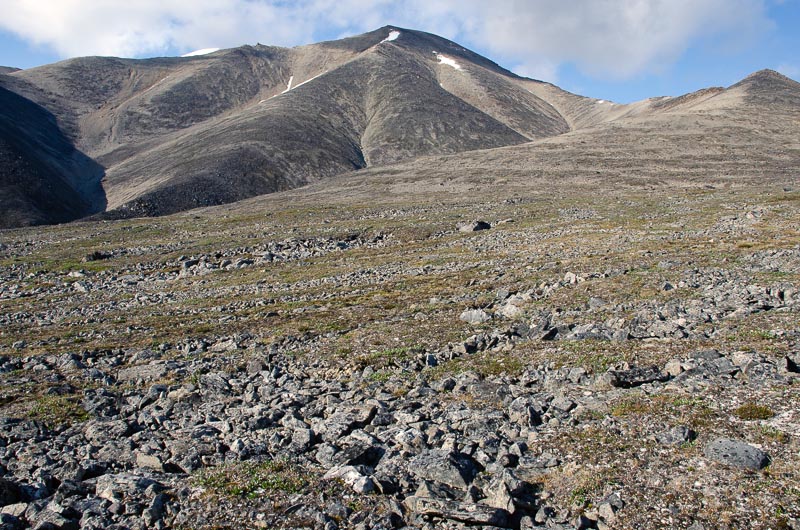 Tundra and periglacial phenomena