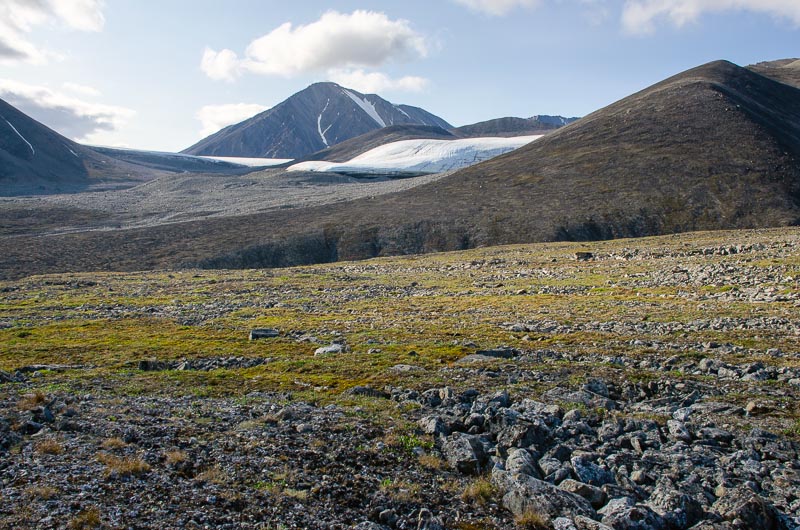 Tundra and periglacial phenomena Tundra and periglacial phenomena