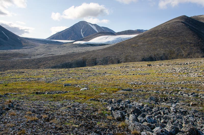 Tundra and periglacial phenomena