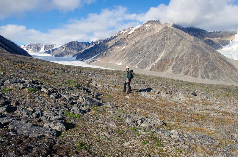 Tundra and periglacial phenomena