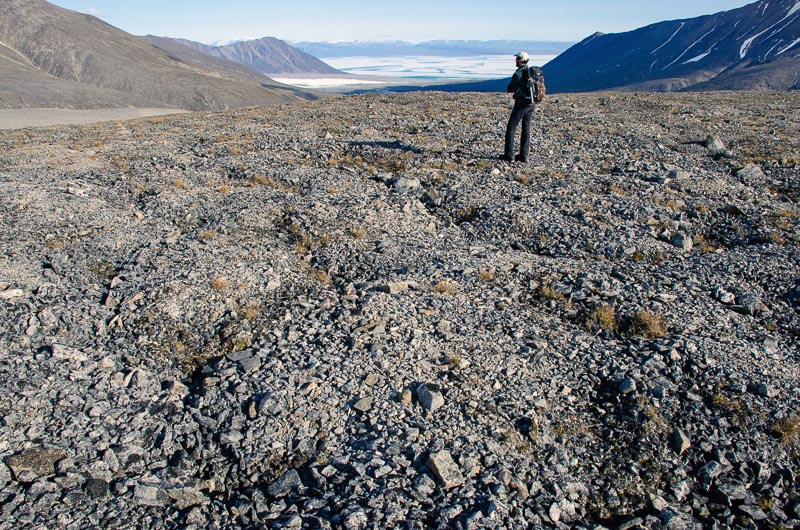 Tundra and periglacial phenomena Tundra and periglacial phenomena