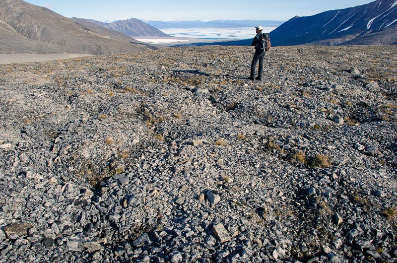 Tundra and periglacial phenomena