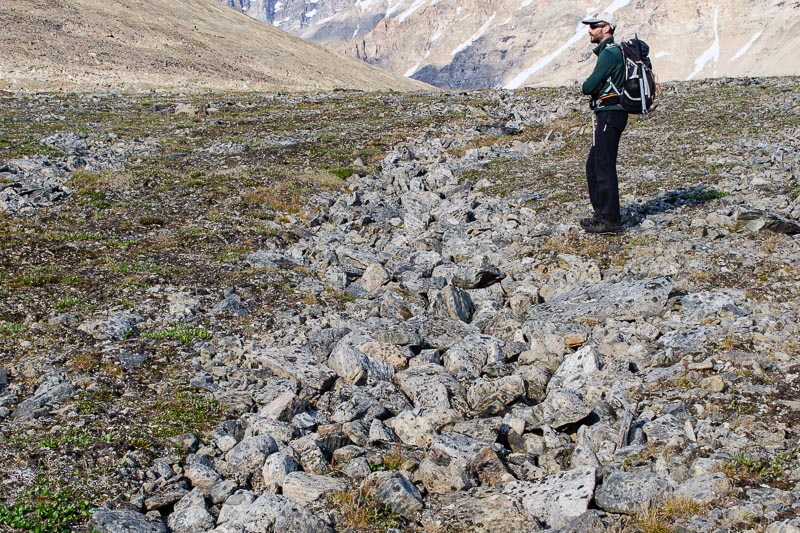 Tundra and periglacial phenomena Tundra and periglacial phenomena