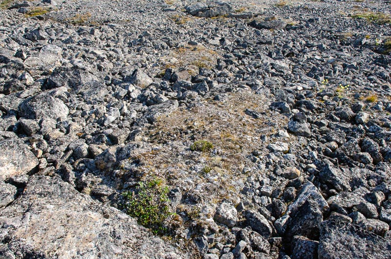 Tundra and periglacial phenomena Tundra and periglacial phenomena