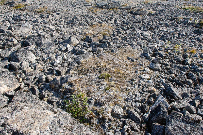 Tundra and periglacial phenomena