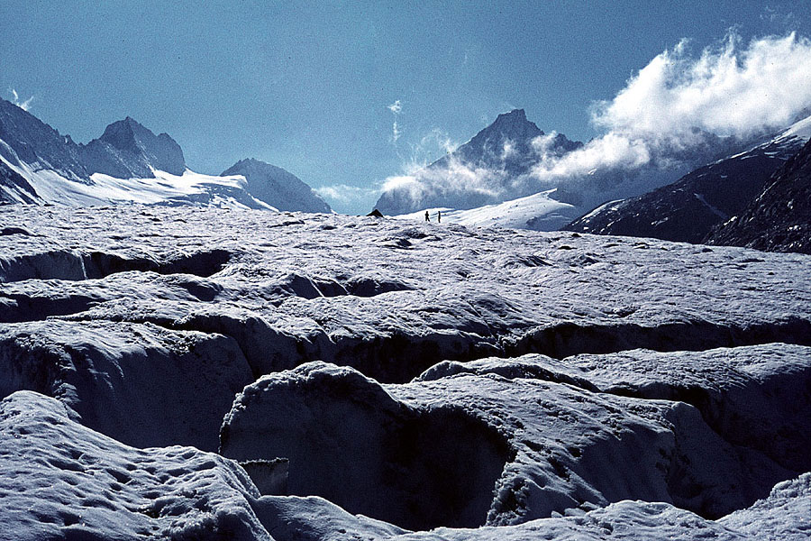 Earth, the icy planet Earth, the icy planet