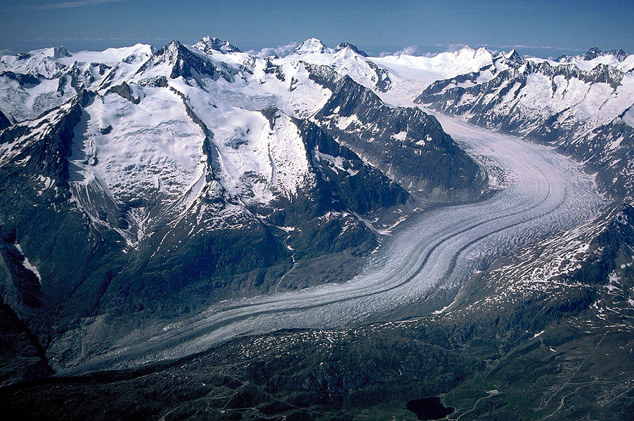 The glacier family