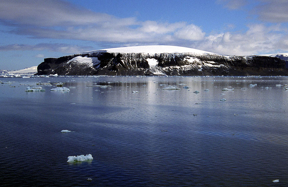 The glacier family