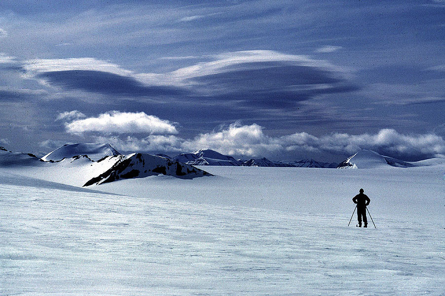 The glacier family