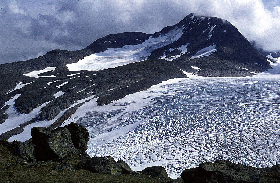 The glacier family The glacier family