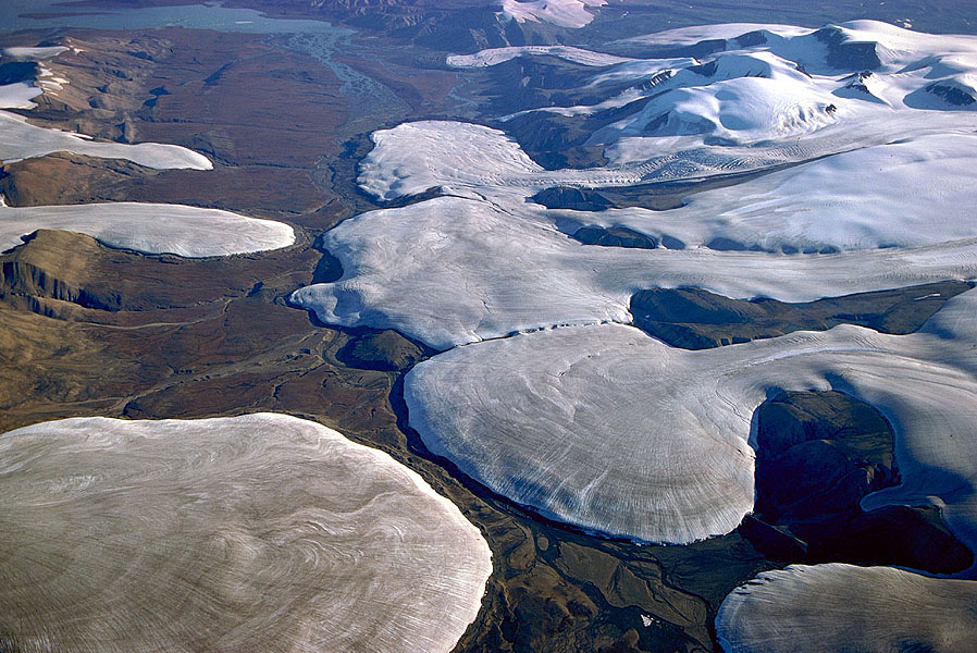 The glacier family