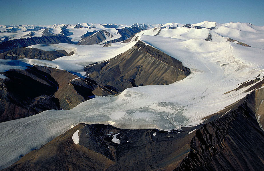 The glacier family