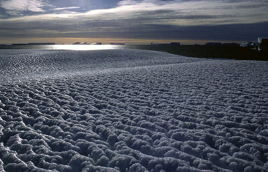 Antarctica: the icy continent