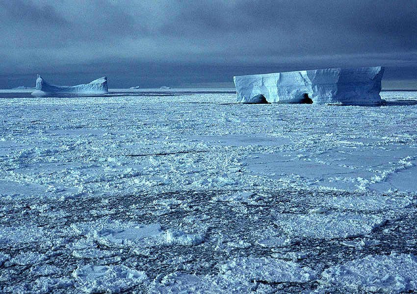 Antarctica: the icy continent