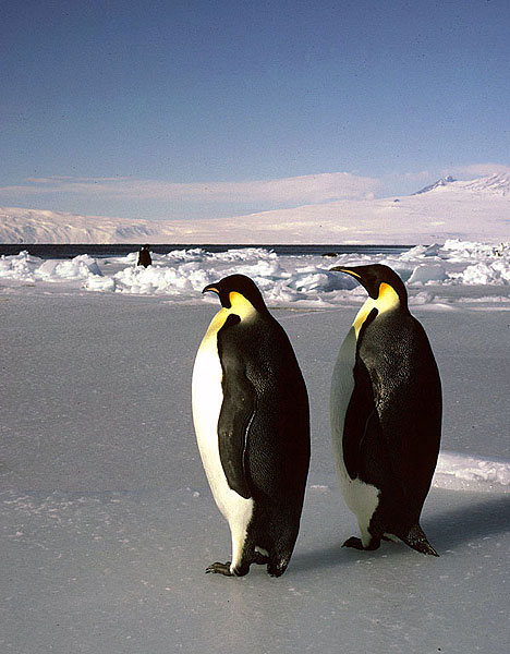 A haven for wildlife A haven for wildlife