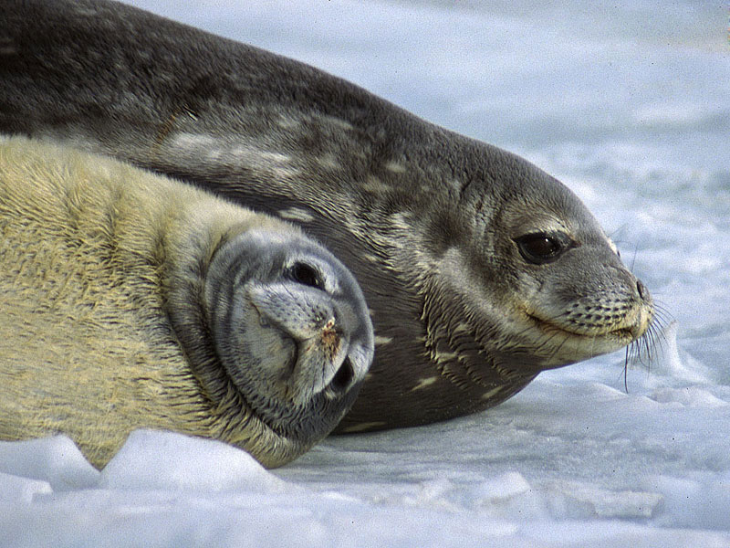 A haven for wildlife A haven for wildlife