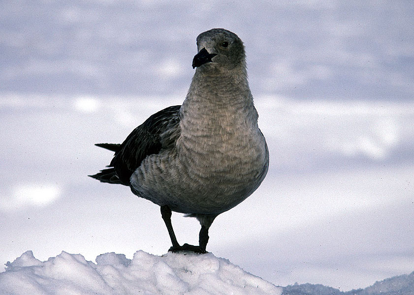 A haven for wildlife A haven for wildlife