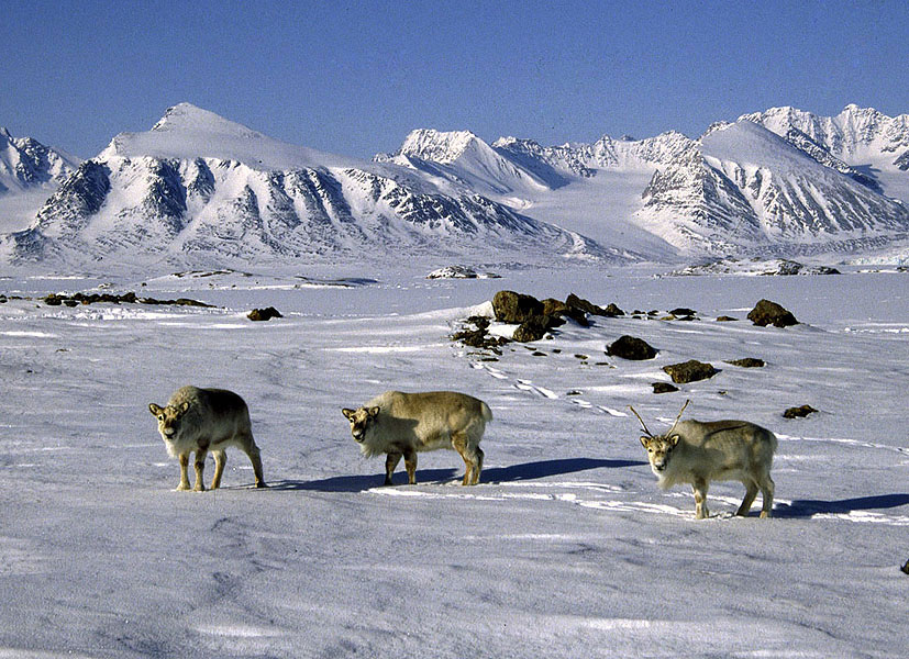 A haven for wildlife A haven for wildlife