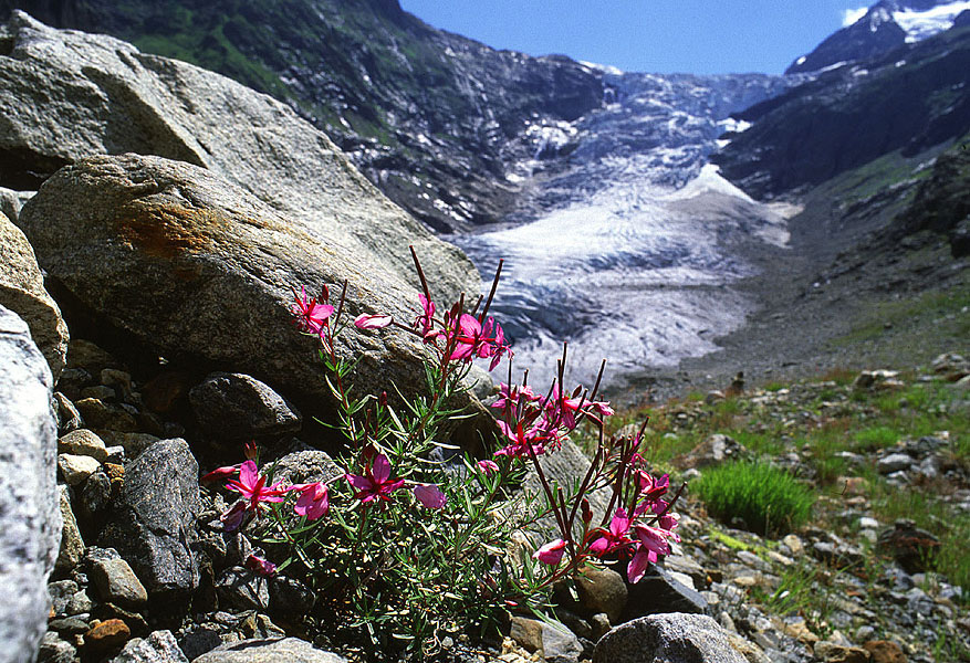 A haven for wildlife A haven for wildlife