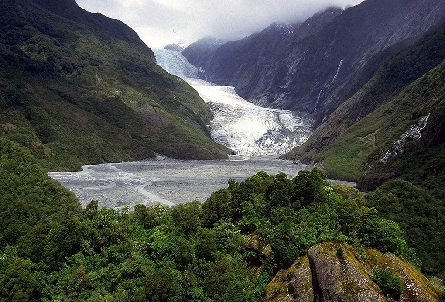 Flora und Fauna bei Gletschern