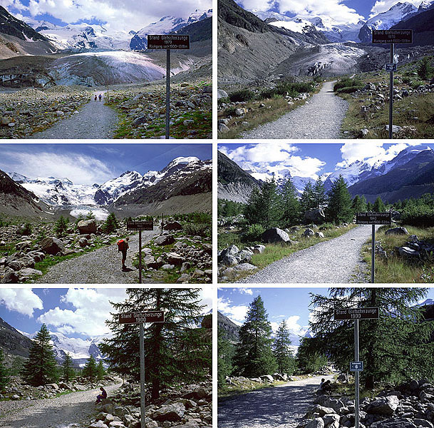 A haven for wildlife A haven for wildlife