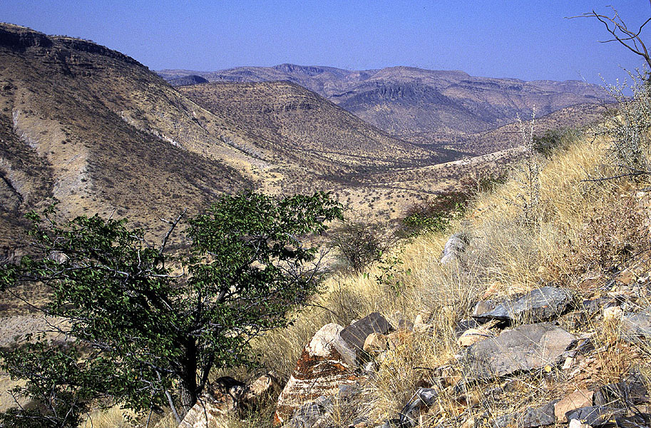 Earth’s glacial record Earth’s glacial record